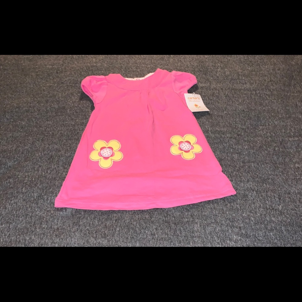 Carter’s Baby Dress (9 months)